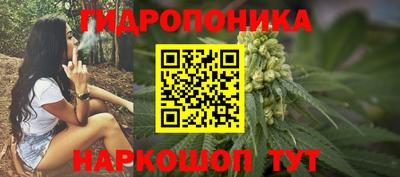 гидра Усть-Джегута